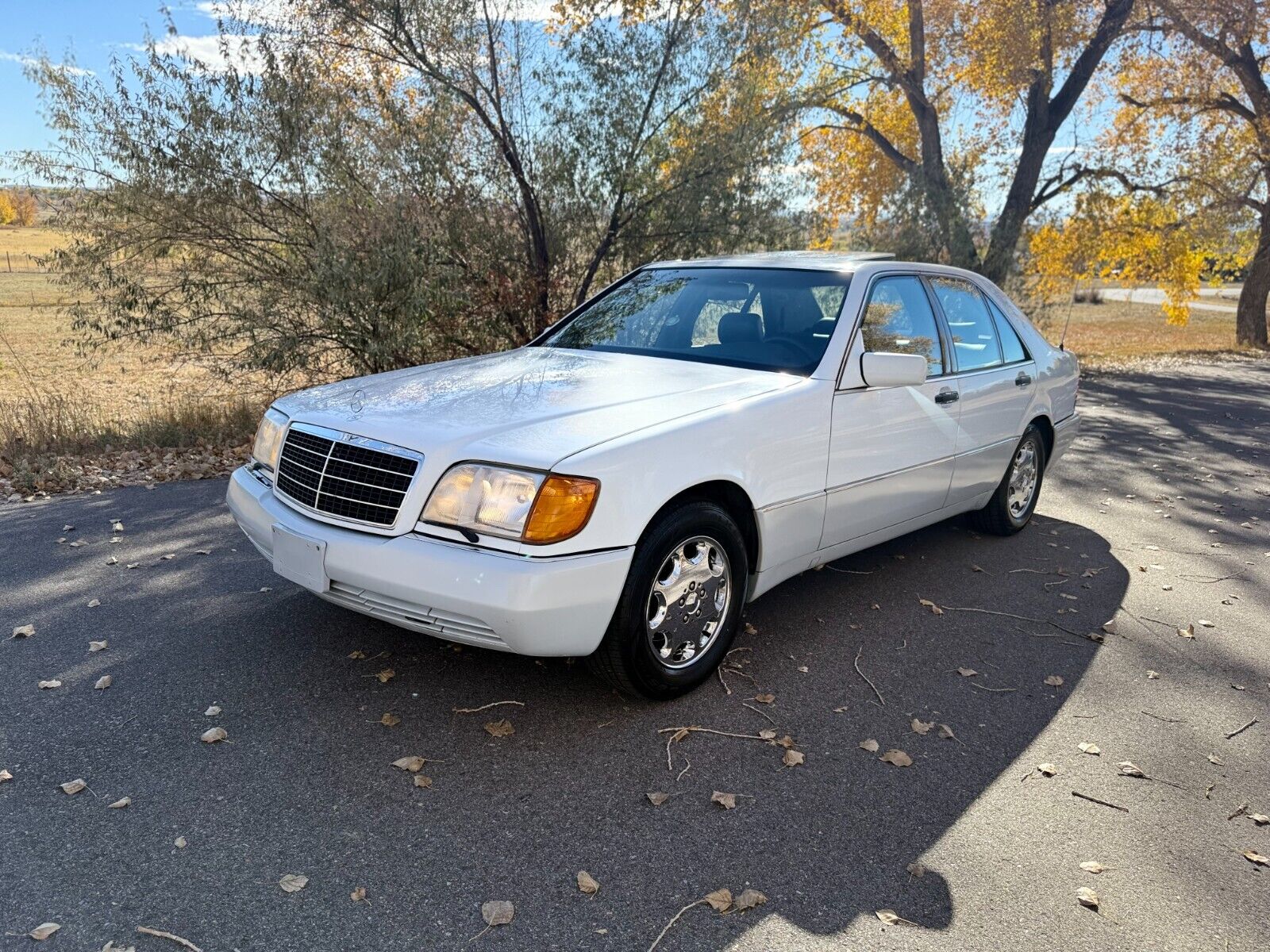 Mercedes-Benz Other Berline 1992 à vendre