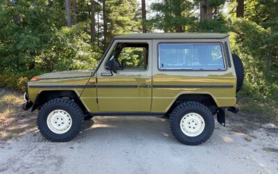 Mercedes-Benz Other SUV 1981 à vendre