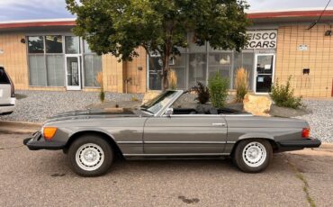 Mercedes-Benz-SL-Class-1974-17