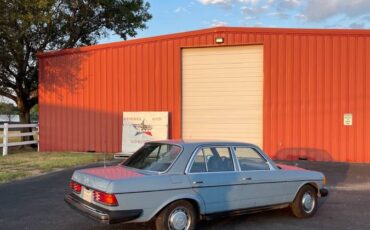 Mercedes-benz-Benz-240d-300d-190d-diesel-190e-w124-1980-6