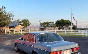 Mercedes-benz-Benz-240d-300d-190d-diesel-190e-w124-1980-7