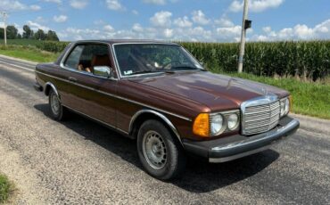 Mercedes-benz-Benz-280ce-1978-6