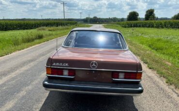 Mercedes-benz-Benz-280ce-1978-8