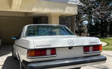 Mercedes-benz-Benz-diesel-1978-23