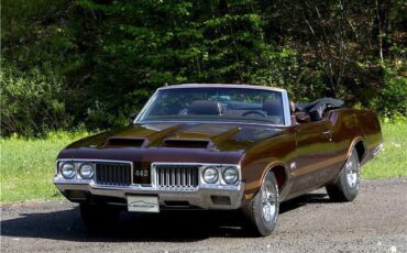 Oldsmobile-442-W-30-Clone-1970-6