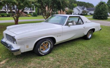 Oldsmobile-Cutlass-hurst-olds-1975