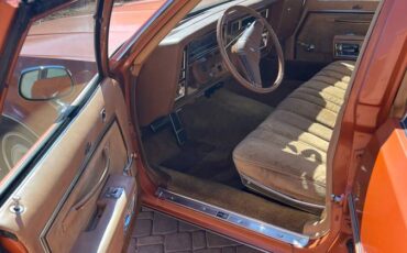 Oldsmobile-Delta-88-royale-1977-4