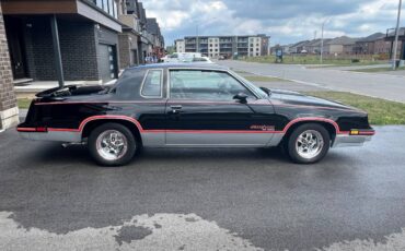 Oldsmobile-Hurst-1983-4