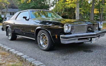 Oldsmobile-hurst-olds-1975-1