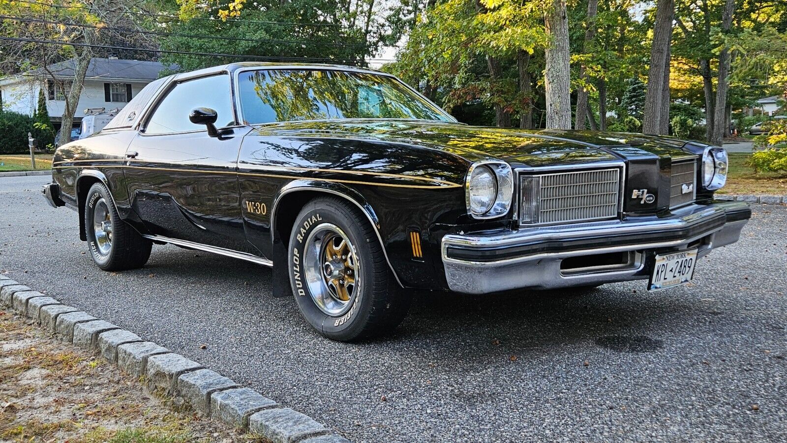 Oldsmobile-hurst-olds-1975-1