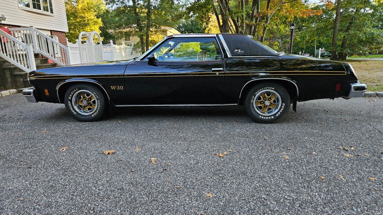 Oldsmobile-hurst-olds-1975-2