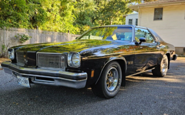 Oldsmobile hurst olds  year1}