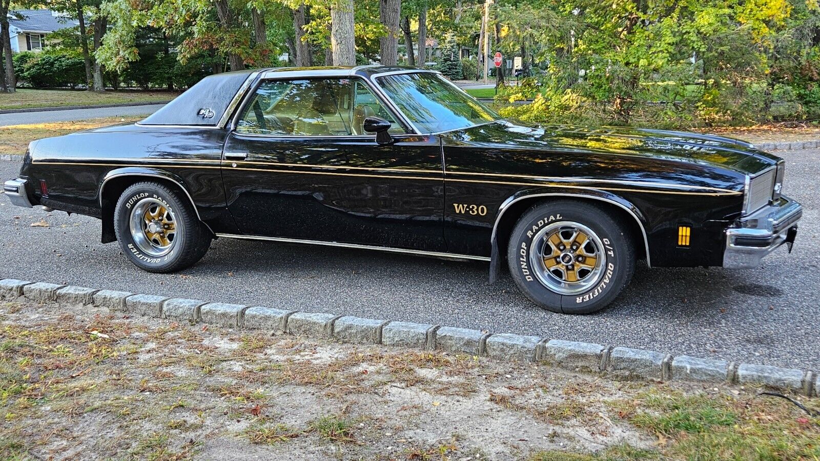 Oldsmobile-hurst-olds-1975-6