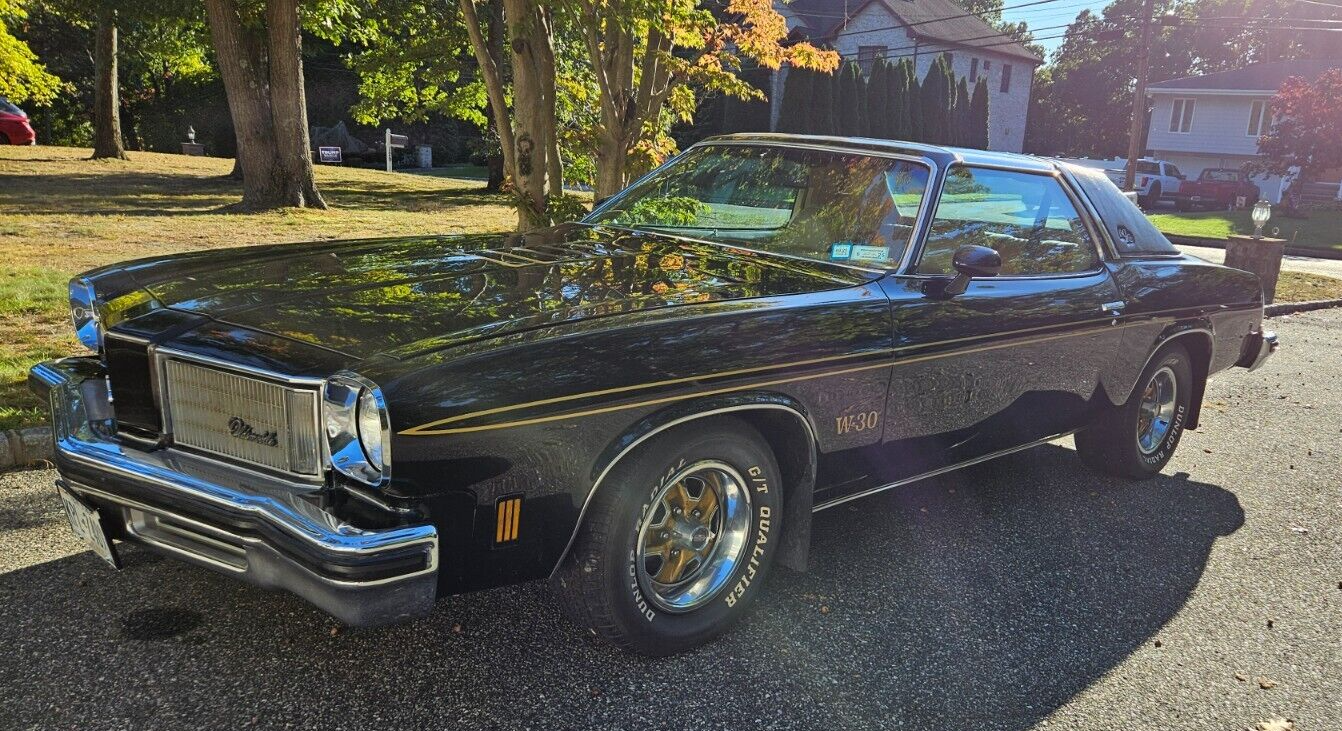 Oldsmobile-hurst-olds-1975-8