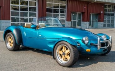 Panoz-Roadster-Cabriolet-1993-1