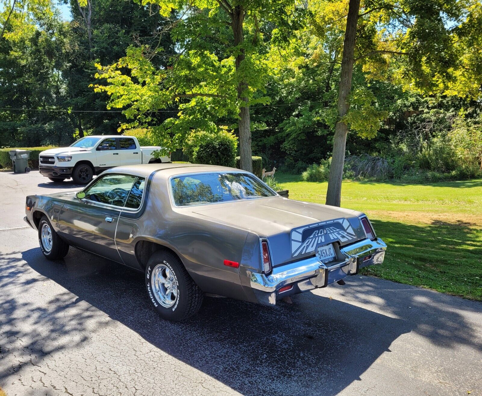 Plymouth-Road-Runner-1975-19