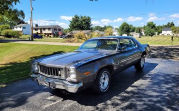 Plymouth-Road-Runner-1975-2