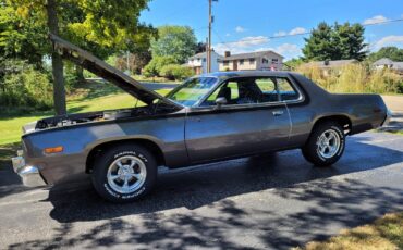 Plymouth-Road-Runner-1975-21