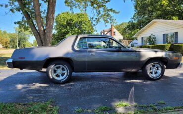 Plymouth-Road-Runner-1975-22