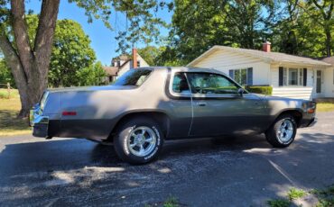 Plymouth-Road-Runner-1975-27