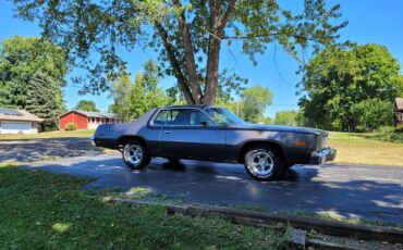 Plymouth-Road-Runner-1975-3