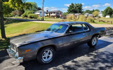 Plymouth-Road-Runner-1975-5