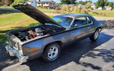 Plymouth-Road-Runner-1975-7