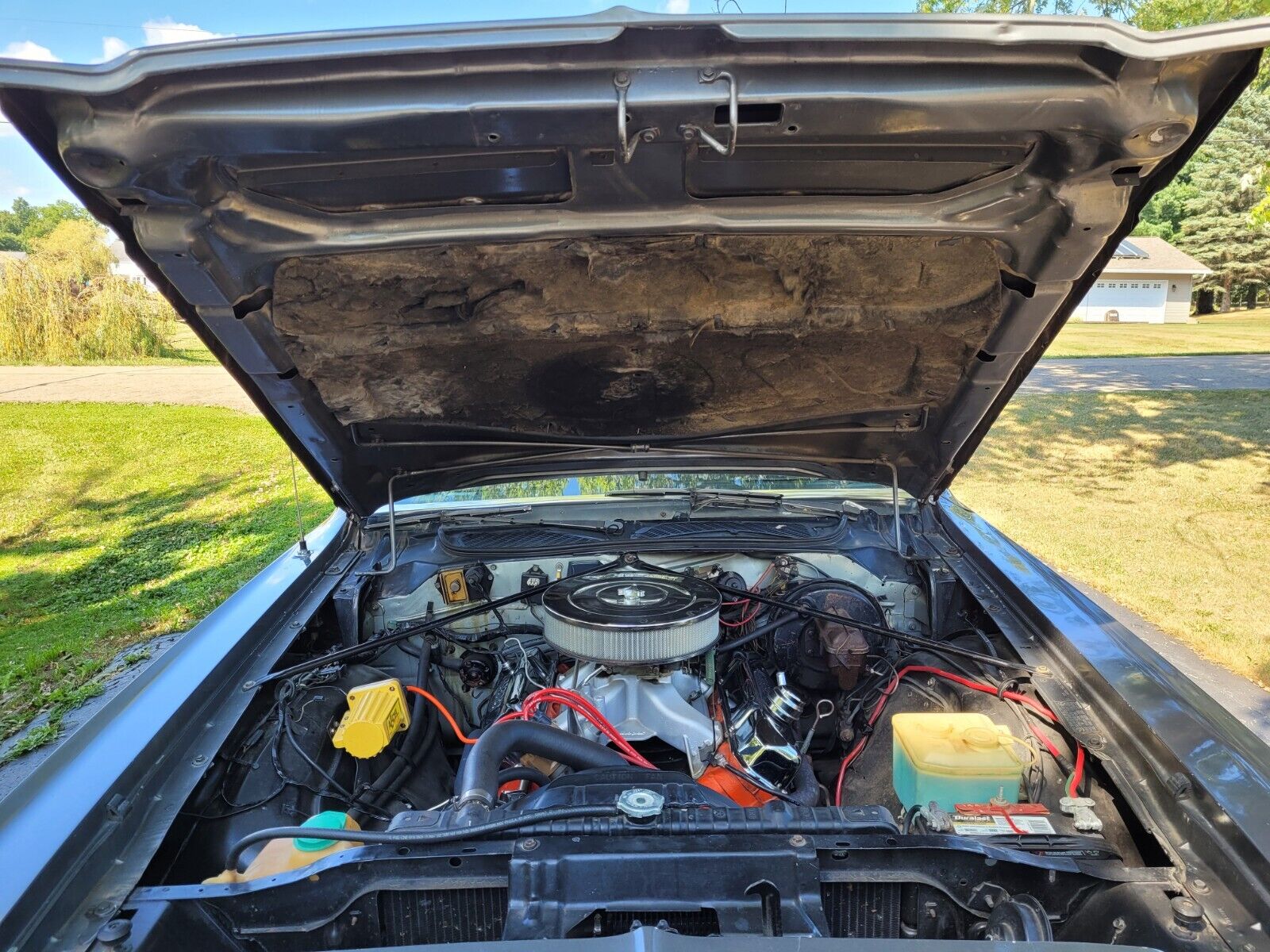 Plymouth-Road-Runner-1975-8