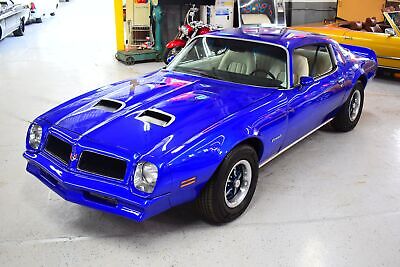 Pontiac-Firebird-1976-7