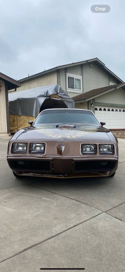 Pontiac-Firebird-1979-6