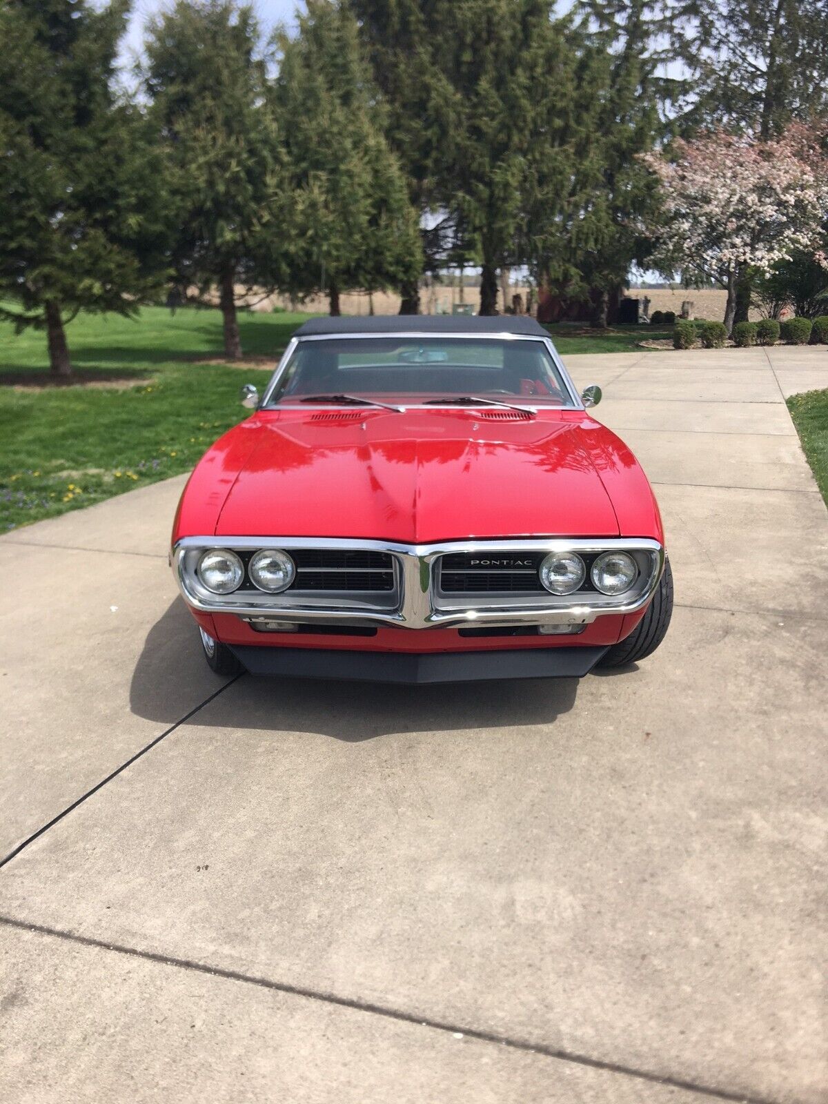 Pontiac-Firebird-Cabriolet-1967-14