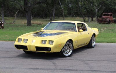 Pontiac Firebird Coupe 1980 à vendre