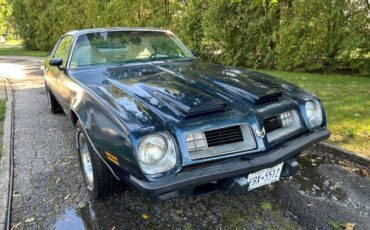 Pontiac-Firebird-formula-350-1975-14