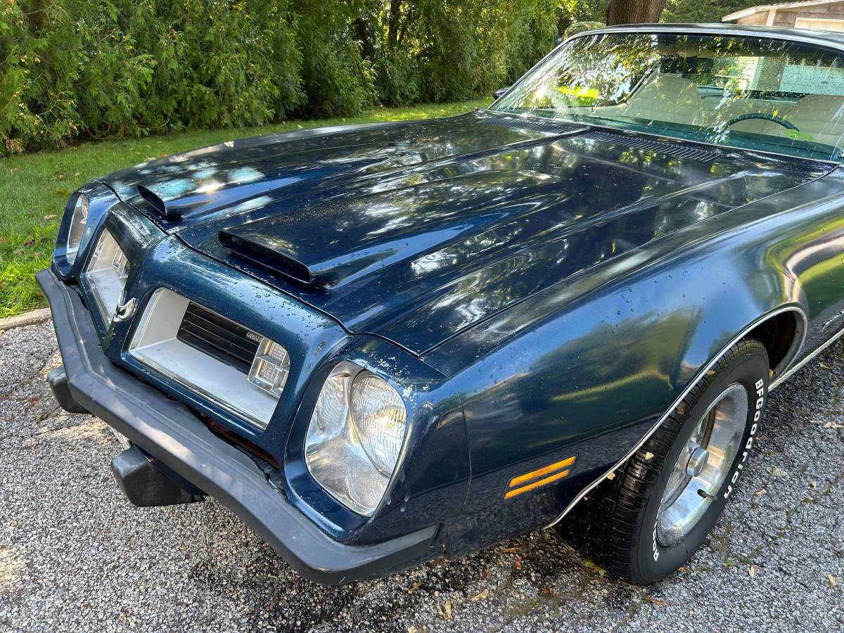 Pontiac-Firebird-formula-350-1975-20