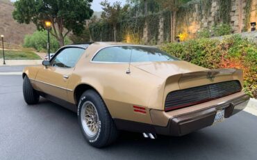 Pontiac-Firebird-formula-400-1979-1