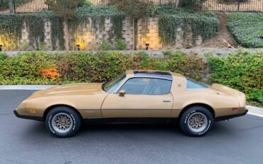 Pontiac-Firebird-formula-400-1979-2