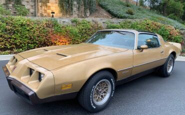 Pontiac-Firebird-formula-400-1979-3