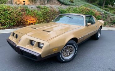 Pontiac-Firebird-formula-400-1979