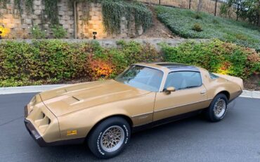 Pontiac-Firebird-formula-400-1979-5