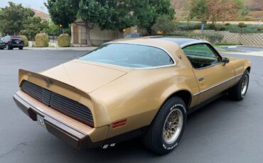 Pontiac-Firebird-formula-400-1979-7