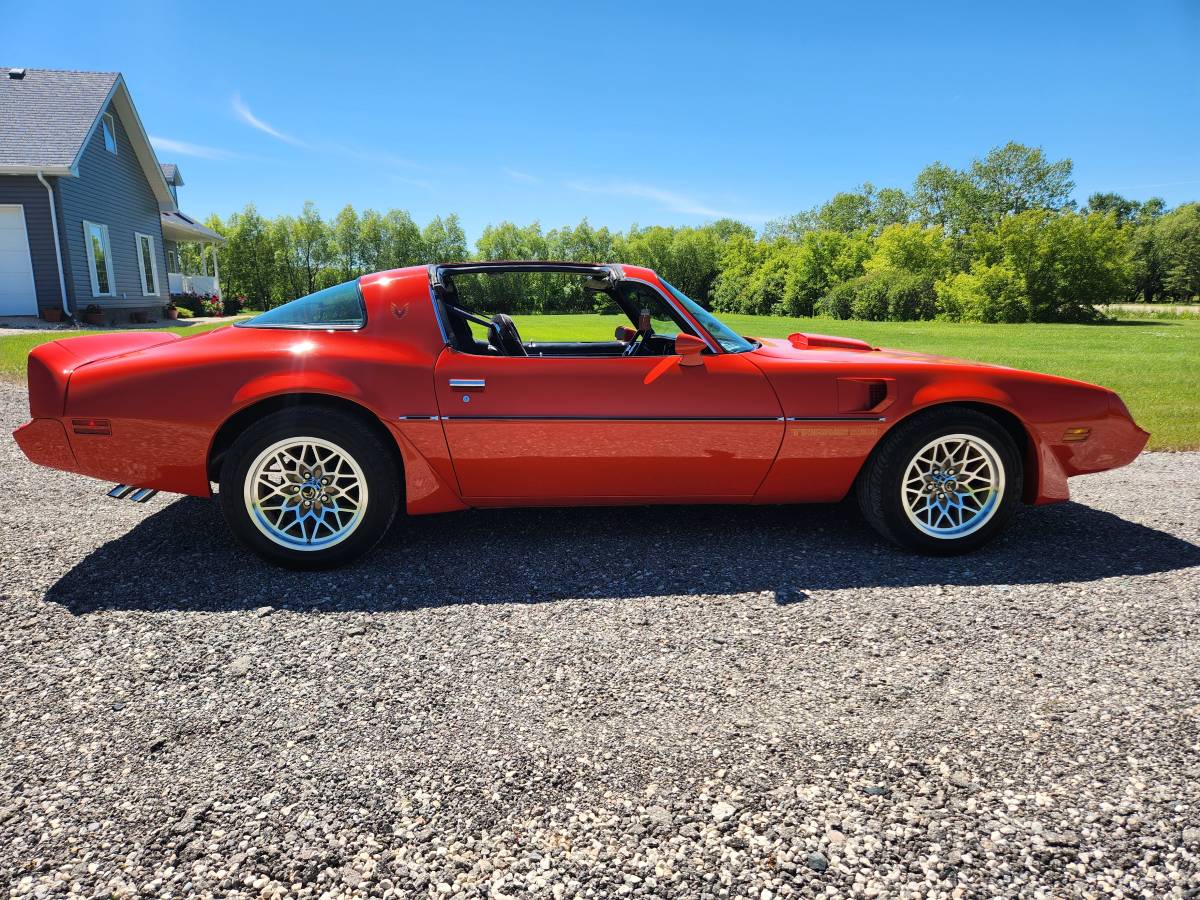 Pontiac-Firebird-trans-am-1979-10