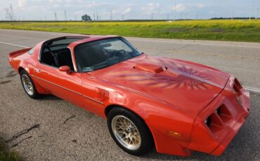 Pontiac-Firebird-trans-am-1979-12