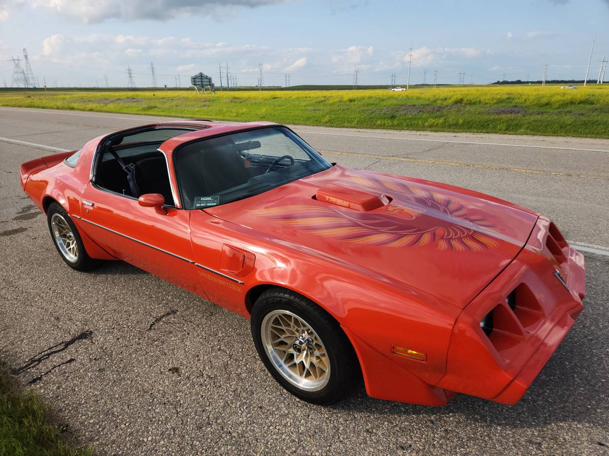 Pontiac-Firebird-trans-am-1979-12