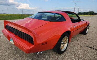 Pontiac-Firebird-trans-am-1979-14