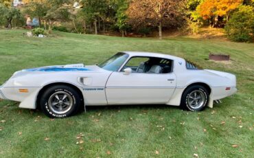 Pontiac-Firebird-trans-am-1979