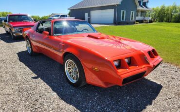 Pontiac-Firebird-trans-am-1979-8