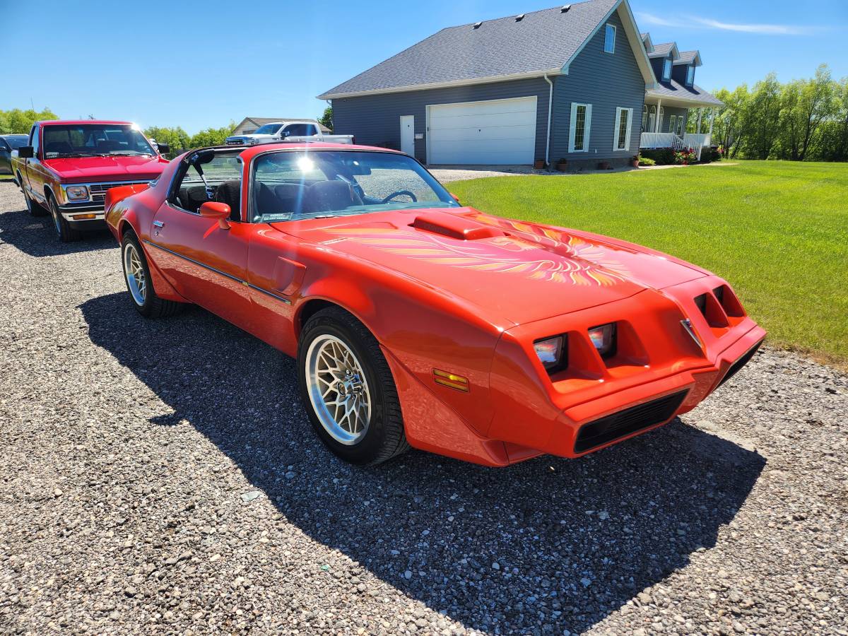 Pontiac-Firebird-trans-am-1979-8