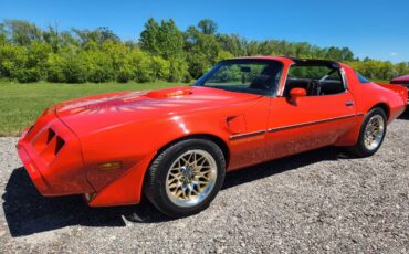 Pontiac-Firebird-trans-am-1979-9