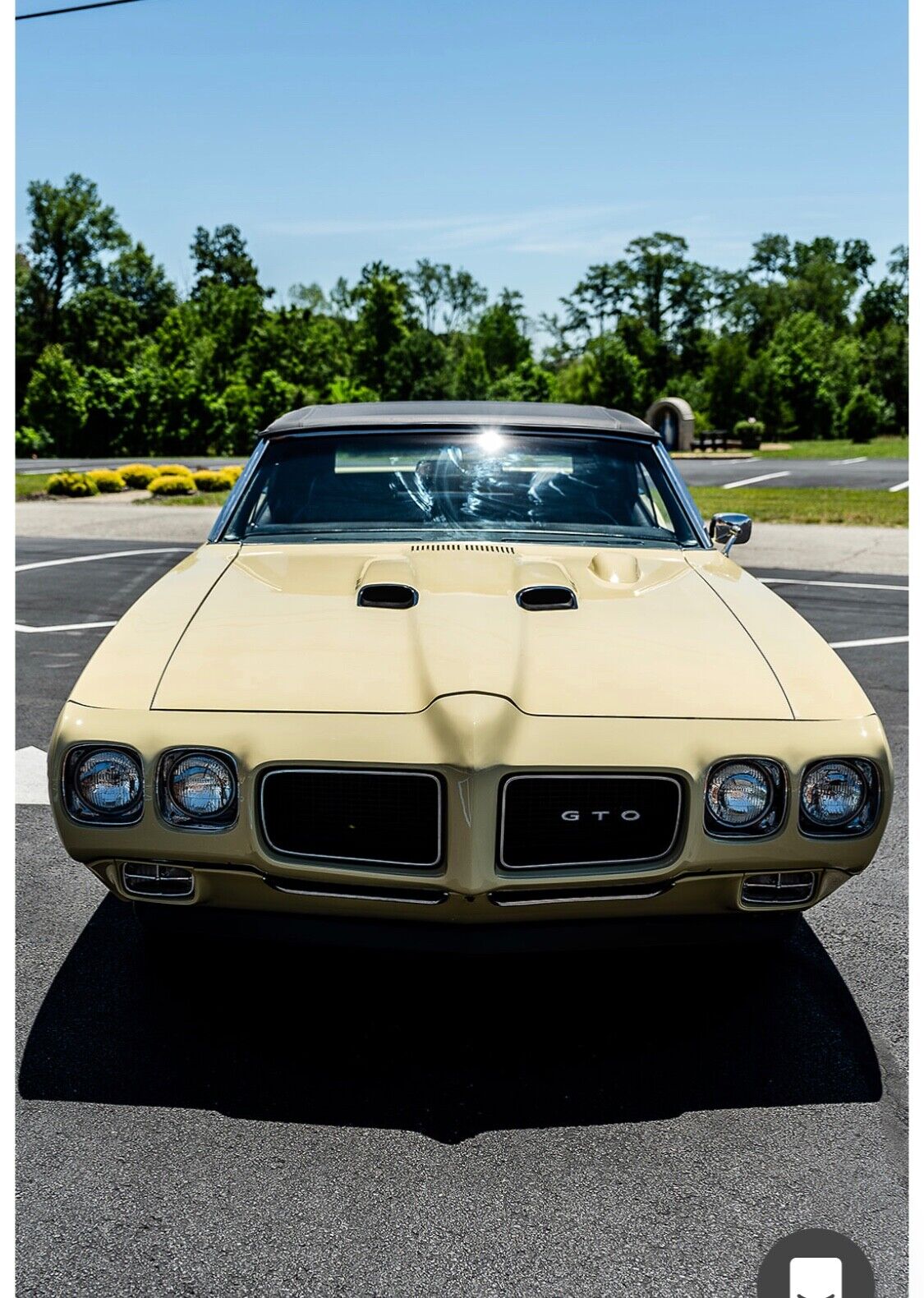 Pontiac-GTO-1970-14