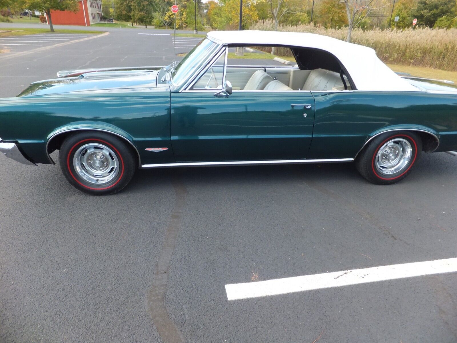 Pontiac-GTO-Cabriolet-1965-14